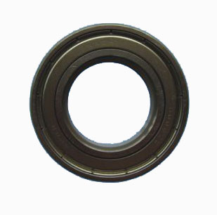 6006 bearing